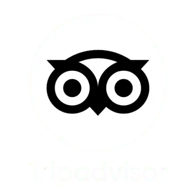 Trip Advisor